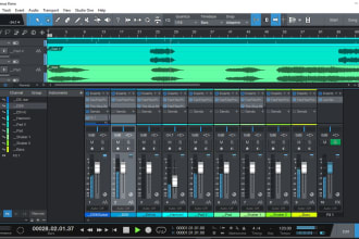 mix and master any type of song professionally