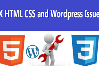 fix html,css,js or wordpress issue