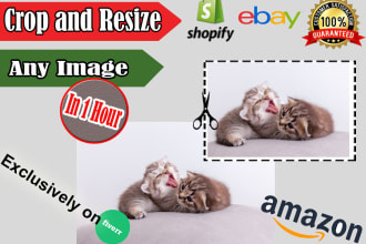 remove background,resize,crop,images, products fluently