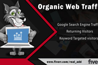 send america and europe targeted organic visitors by google