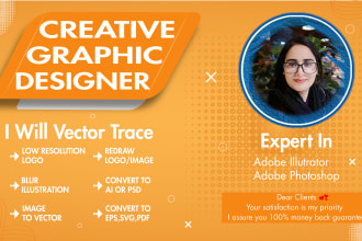 convert any jpg or png file to high quality vector ai or PSD files