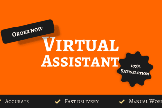 do data entry, research, mining CSV sheet