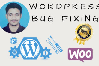 fix wordpress bugs and issues