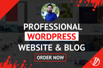 build modern professional wordpress website design or blog