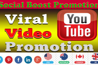 do viral youtube video promotion with social media audience