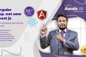 be your angular, react and asp net core developer