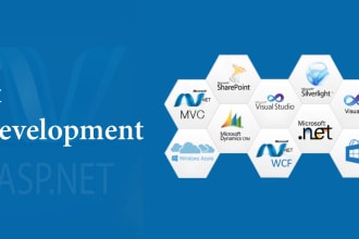 develop or fix your asp net mvc website