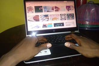be your virtual assistant for data entry