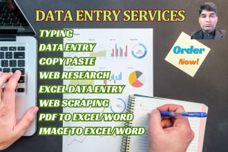 do excel data entry, copy paste, typing, web research
