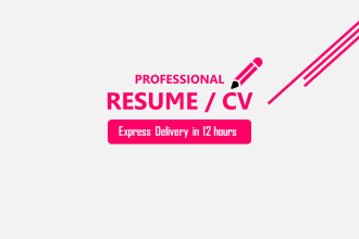 provide you professional resume writing service in 12 hours