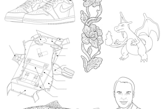 draw details vector lineart illustration in 24hours
