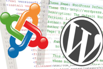fix your wordpress or joomla issues and bugs
