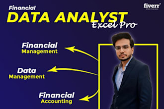 be your data analyst and will do financial management and accounting