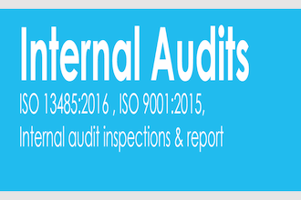 write internal audit reports