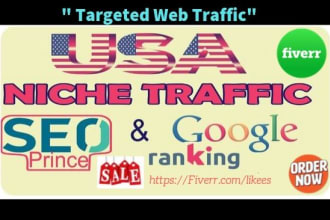 do  targeted USA web traffic with rank your website