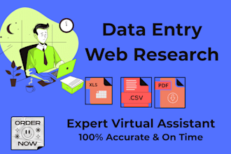 be your virtual assistant for data entry, online research, and copy paste