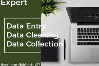 do excel data entry and copy paste jobs
