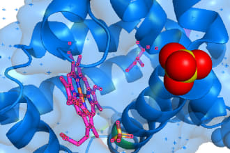 accomplish bioinformatics related tasks for you