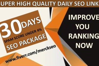 submit 30 days drip feed SEO link building service for daily update