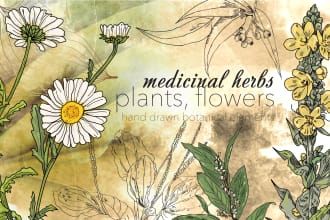 create plant, flowers line art vector