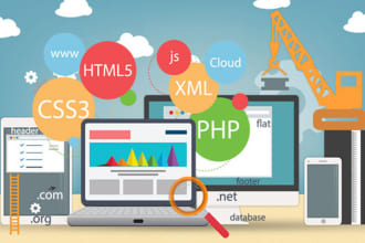 fix bugs in your website,software and hosting