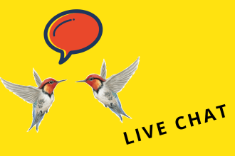 add live chat widget