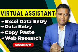 do fast data entry, web research, copy paste, excel data entry, pdf to excel