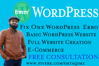 develop, debug, design and customize your wordpress website