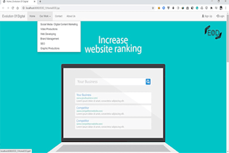 design a professional, attractive website