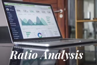 provide valuable ratio analysis of financial statements