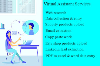 be your virtual assistant for web research data entry