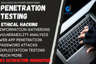 penetration test your website with professional report