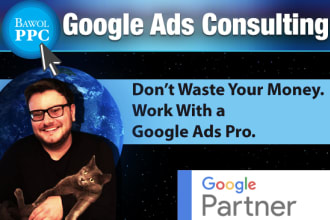 offer google ads consulting in an online meeting