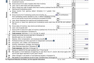 prepare and file your nonprofit 990s