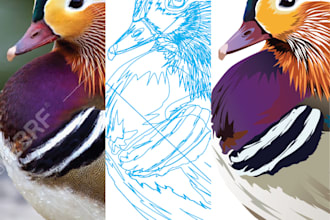 help you to create animal vector illustration