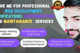 redesign modify and customize your existing website professionally