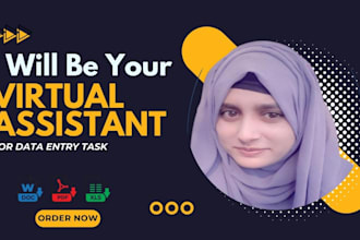 be your virtual assistant for data entry, admin work