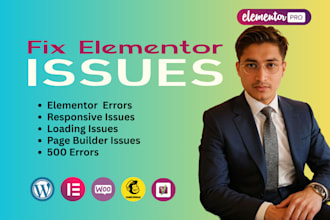 fix elementor issues and fix wordpress website
