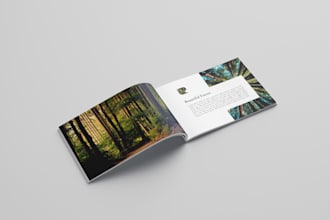 design beautiful brochures and flyers