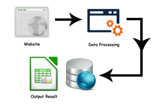 develop desktop app,  scrapping bot, excel automation