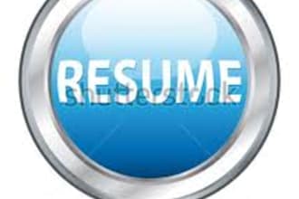 craft a professional and well presented resume