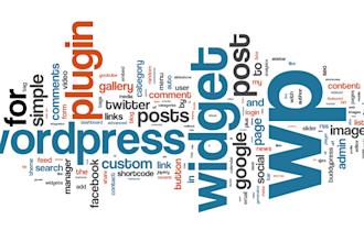 customize, update, fix, your word press website