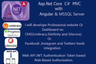 make website on asp net mvc  core with angular, react ,nextjs,nodeis, nestjs