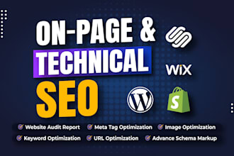 do onpage SEO, aeo, geo for local business and ecommerce monthly optimization
