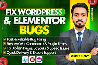 find and fix wordpress bug, elementor error or woocommerce bug fast