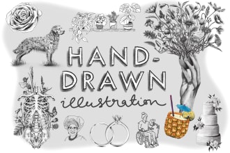 hand draw line art illustration or icon