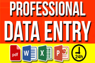 do data entry, copy paste, excel to PDF, google doc, VA etc
