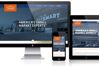 develop a professional website for you in wordpress or wix