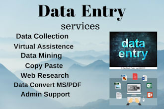 data entry , data mining , data convert , virtual assistance