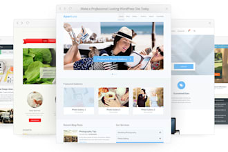 create a professional wordpress site